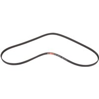 Carraro Belt CI201383
