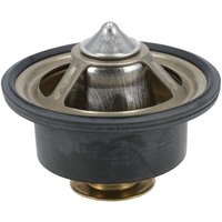 Manitou Thermostat MA52726168
