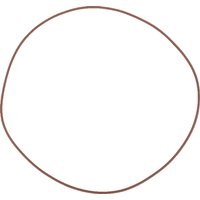 CNH O-ring 14469481