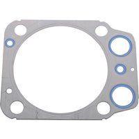 SDF Gasket 00197134010