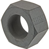 Lely Nut 9102900242