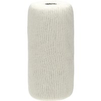 Donaldson Fuel filter cartridge P550541