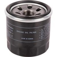 SDF Oil filter 001039891C