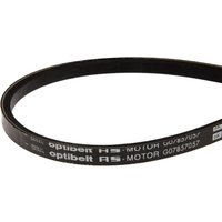 AS-Motor V-belt G07857057