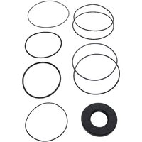 Reggiana Ruduttori Seal kit for Brake RF288 RF9288AFD