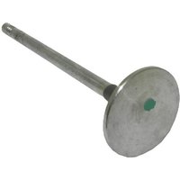 FPT Industrial Exhaust valve 504081062FPT
