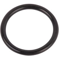 Case IH (CNH) O-ring 167269