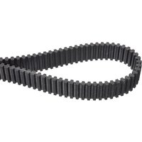 Simplicity - Snapper Timing belt 250 teeth 2000x30mm 1724626SM