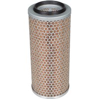 MANN-FILTER Air filter element C131144