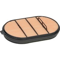Donaldson Air filter safety P601560