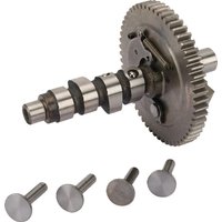 Briggs & Stratton Camshaft 845649