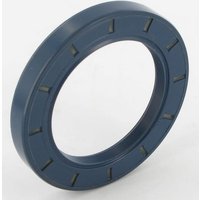 Maschio Oil seal 55 x 80 x 10 F03010313R
