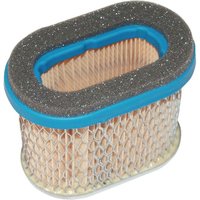 Briggs & Stratton Air filter cartridge (4224) 692446