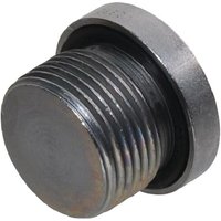 Voss End plug (CS) M22 VSM22WD