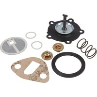 Repair kit lift pump 26410042N