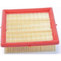Lombardini Air filter 2175180