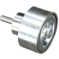 FPT Industrial Guide pulley 504065877FPT