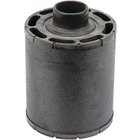 Donaldson Air filter complete C065002