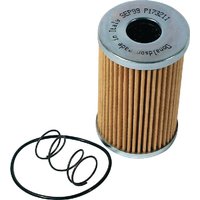 Donaldson Hydraulic filter insert P173211