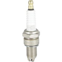 Champion Spark plug multi-ground M14 1.25x19mm spanner 21mm RN8VTYC4