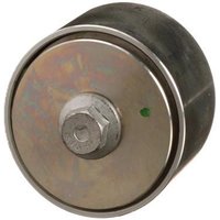 FPT Industrial Belt pulley 504078065FPT