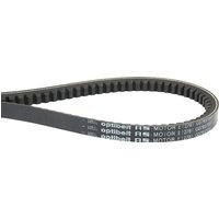 AS-Motor V-belt G07857051