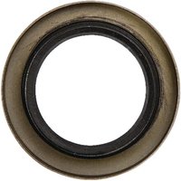 Agria Oil seal 3760 35x55 AGW01989