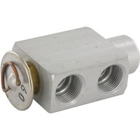 Expansion valve KL050004
