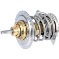 SDF Thermostat 04198786