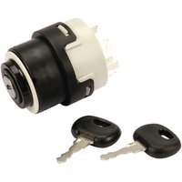 Pneutron Ignition switch P-0-1-2-3, 20500202PN
