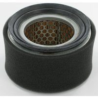 Lombardini Air filter 2175240