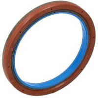 FPT Industrial Shaft seal 5801702899FPT