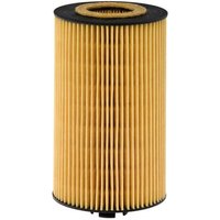 Hengst Oil filter insert E470H01D28