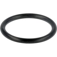 Massey Ferguson (AGCO) Nozzle Holder O-Ring 4225847M1