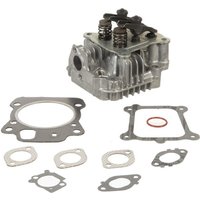 Briggs & Stratton Cylinder head 84004354