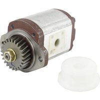 Raico Hydraulic pump RE210000N
