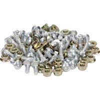Schumacher Bolt set (50) M6x16 02905154201