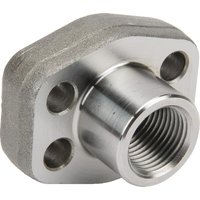 Oleo Tecnica SAE Flange AFS308G08