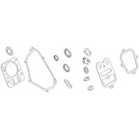 Briggs & Stratton Gasket kit 791797
