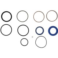 Kubota Seal kit RG10891040