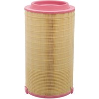MANN-FILTER Air filter C27038