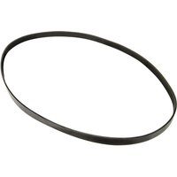 Vapormatic Ribbed belt 8 rib PK x1955mm Optibelt VPE6276