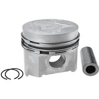 Vapormatic Piston with rings VPB3828