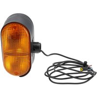 Truck-Lite Direction indicator light, halogen, right, suitable for CNH 3470144