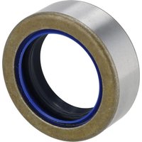 Kramer Seal ring 1000106223