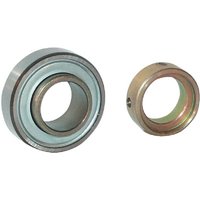INA Bearing insert 15x40x12mm INA/FAG RAE15NPP