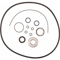 Hypro Seal repair kit 9342P-3SP 34300635