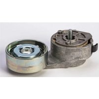 FPT Industrial Belt tensioner 504315785FPT