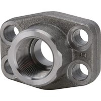 Oleo Tecnica SAE Flange AFS616G16
