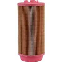 MANN-FILTER Air filter element C11100